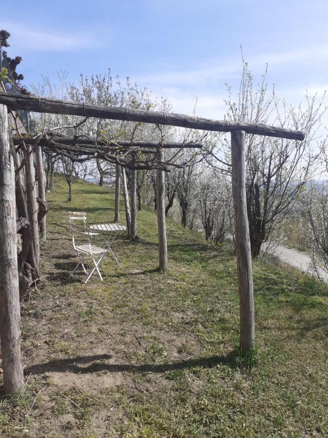 Casa Nebieu In Edificio Indipendente Nel Centro Di Monforte Monforte dʼAlba Kültér fotó
